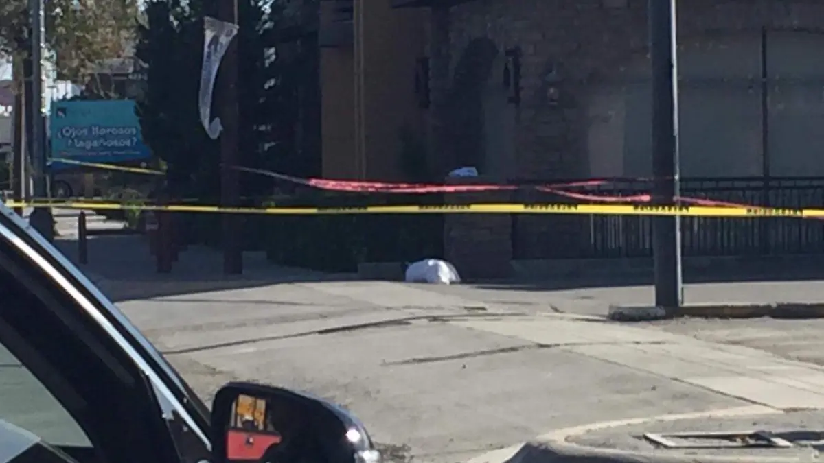 WhatsApp Image 2019-12-15 at 2.19.40 PM