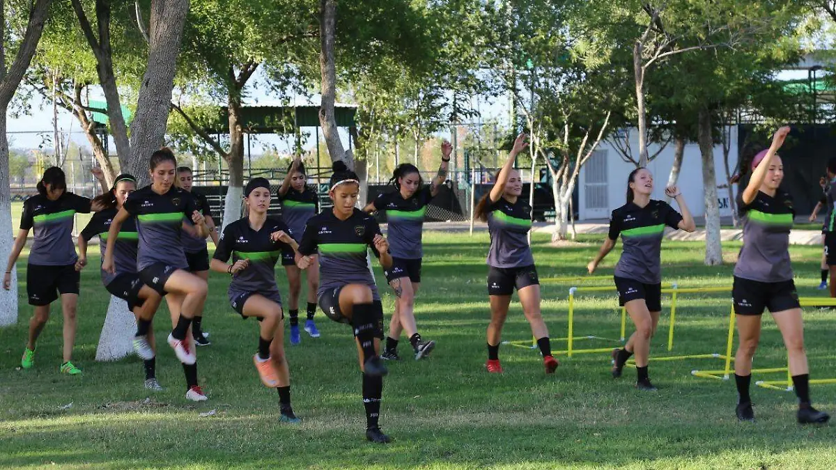 bravitas se preparan