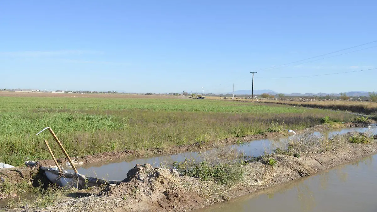 sector agropecuario