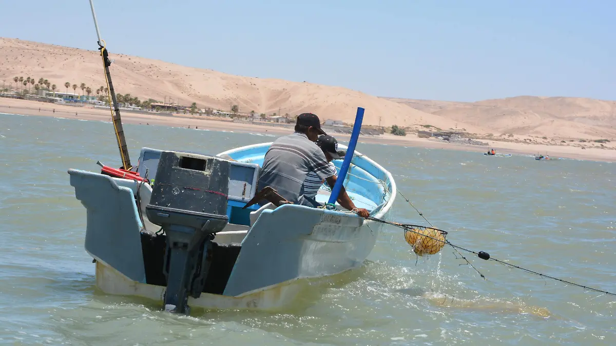 Pesca Sonora 2