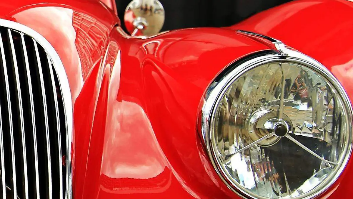 jaguar-1576109_960_720