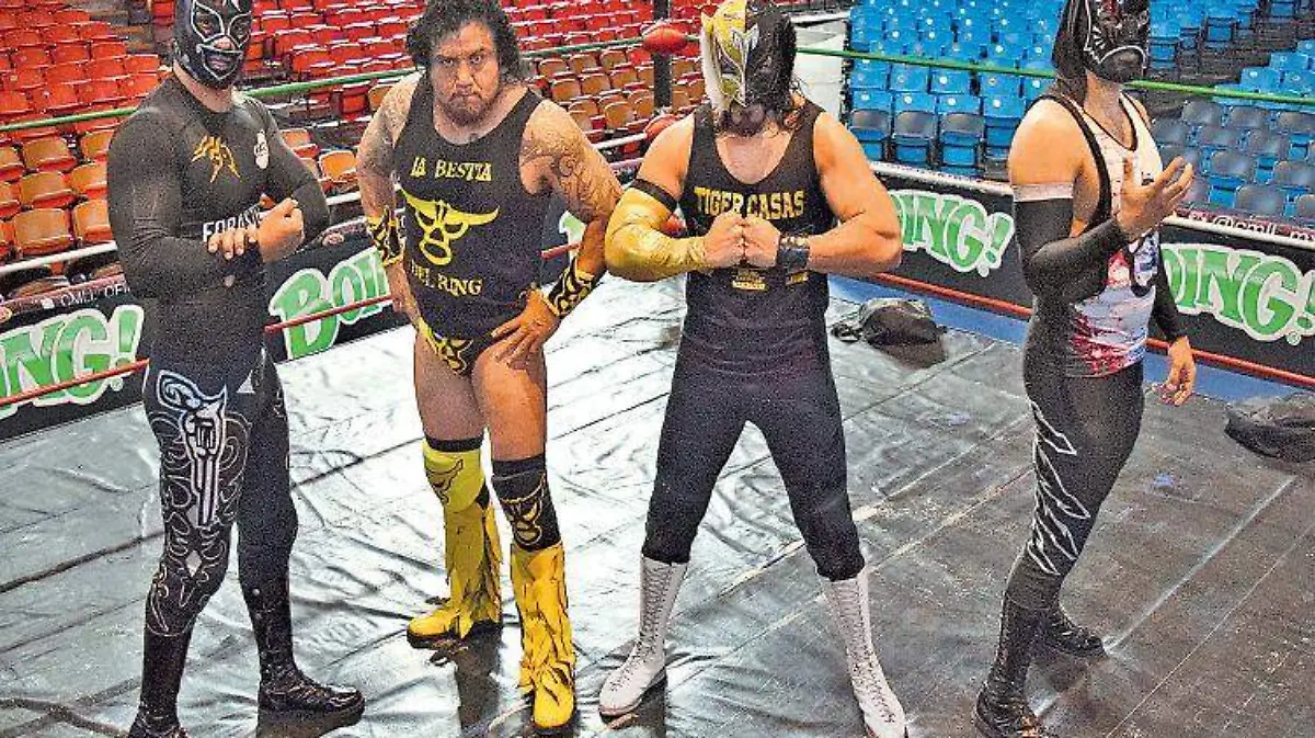 luchas