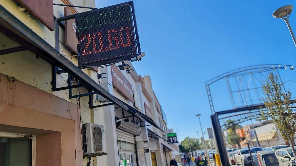 WhatsApp Image 2024-11-18 at 9.36.55 AM