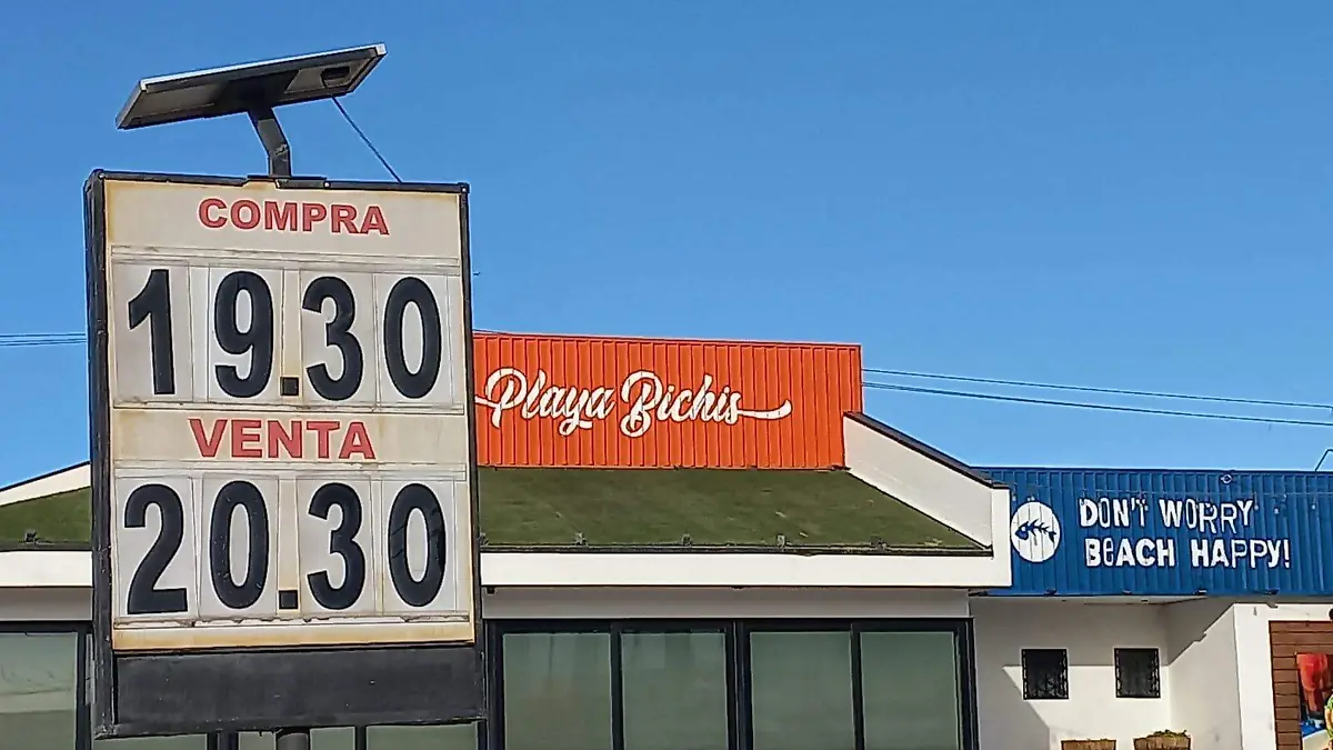 WhatsApp Image 2024-11-12 at 8.21.51 AM