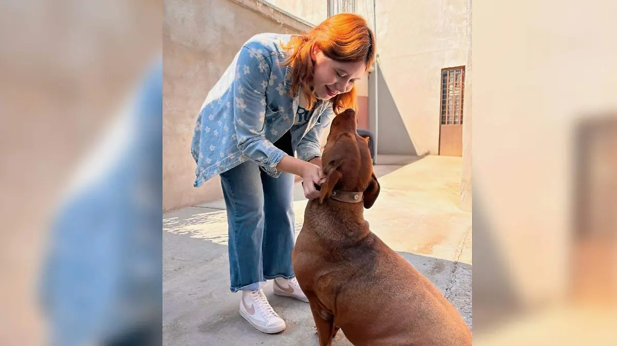 La diputada Jael Argüelles Díaz