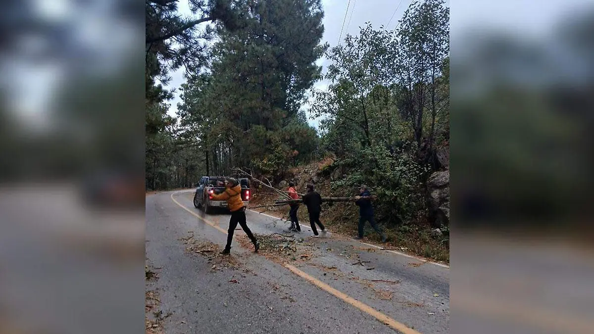 primera tormenta