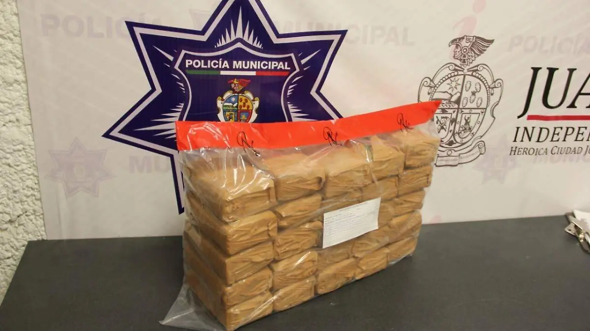 53628914_2243069936015497_7873167273999990784_o