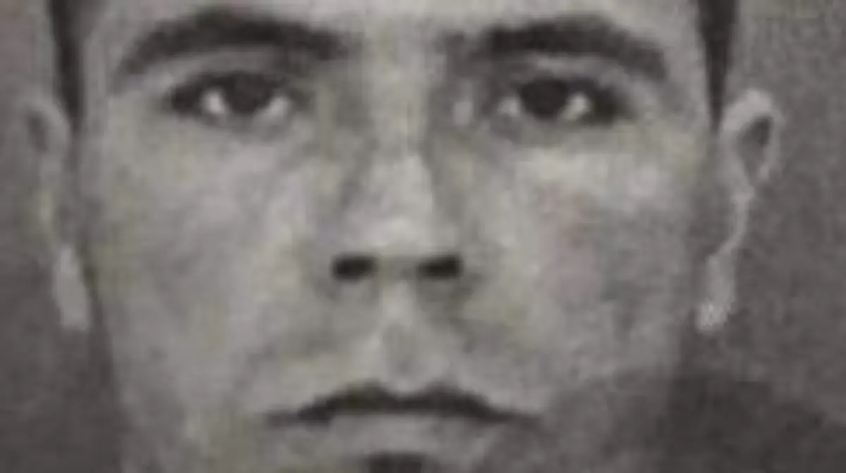 VIOLADOR