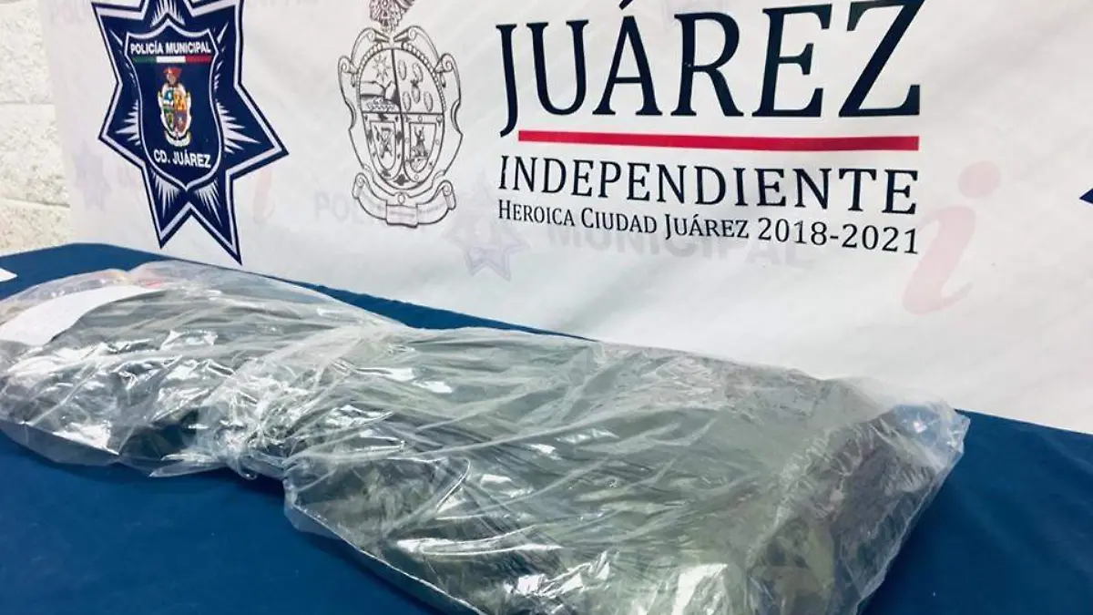 64266070_2313913452264478_8434040073862774784_n