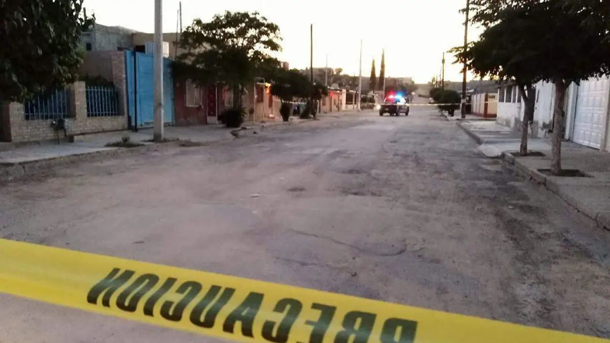 WhatsApp Image 2019-07-15 at 8.38.19 PM