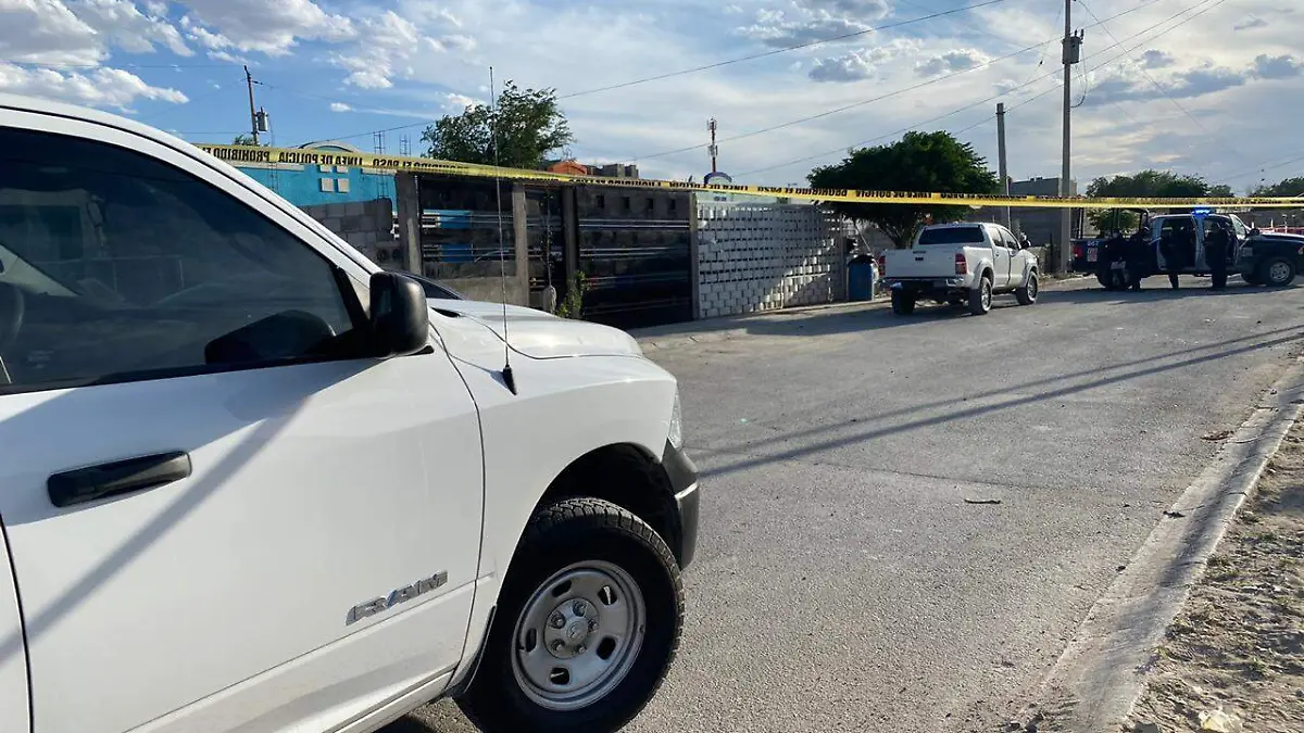 339b22f7-4e07-4035-a081-51c979fd287a