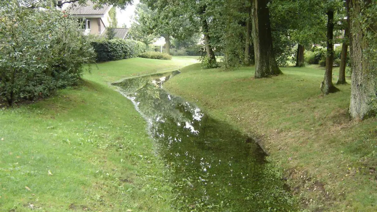 Jardines de lluvia