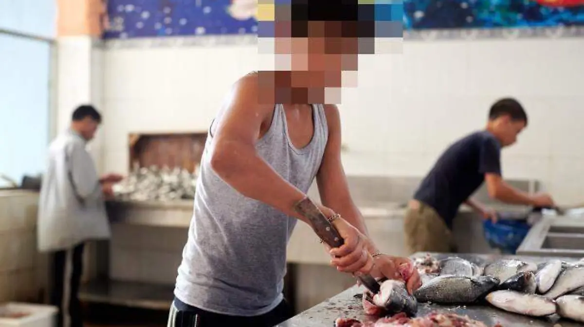 foto_de_nino_trabajando