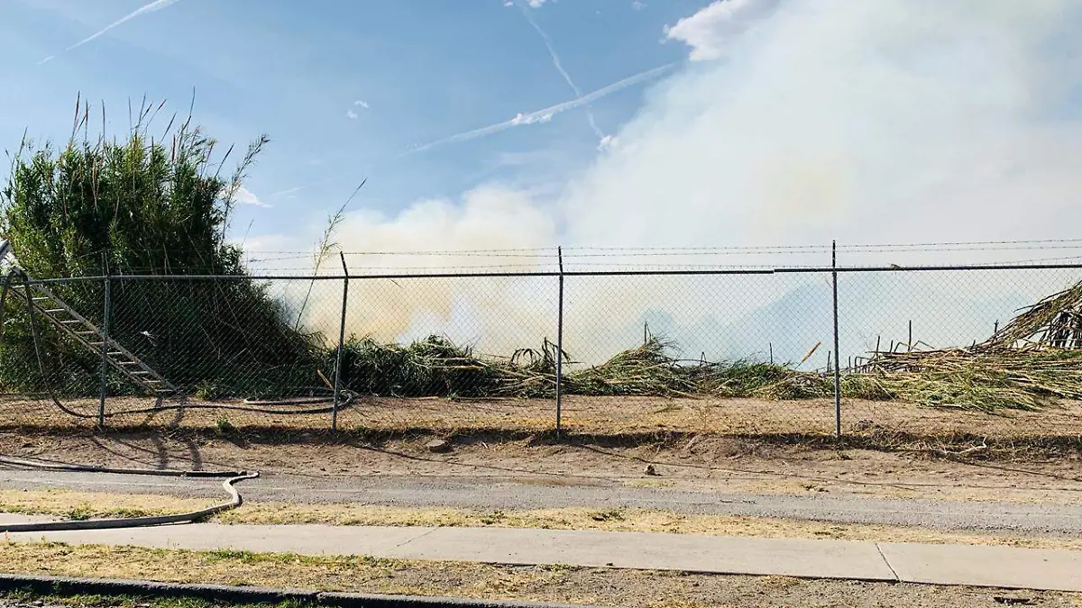 20e889dd-d924-4818-95e8-73665550c908