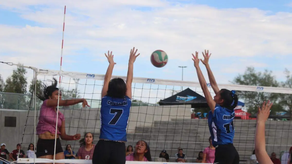 Sport Fest