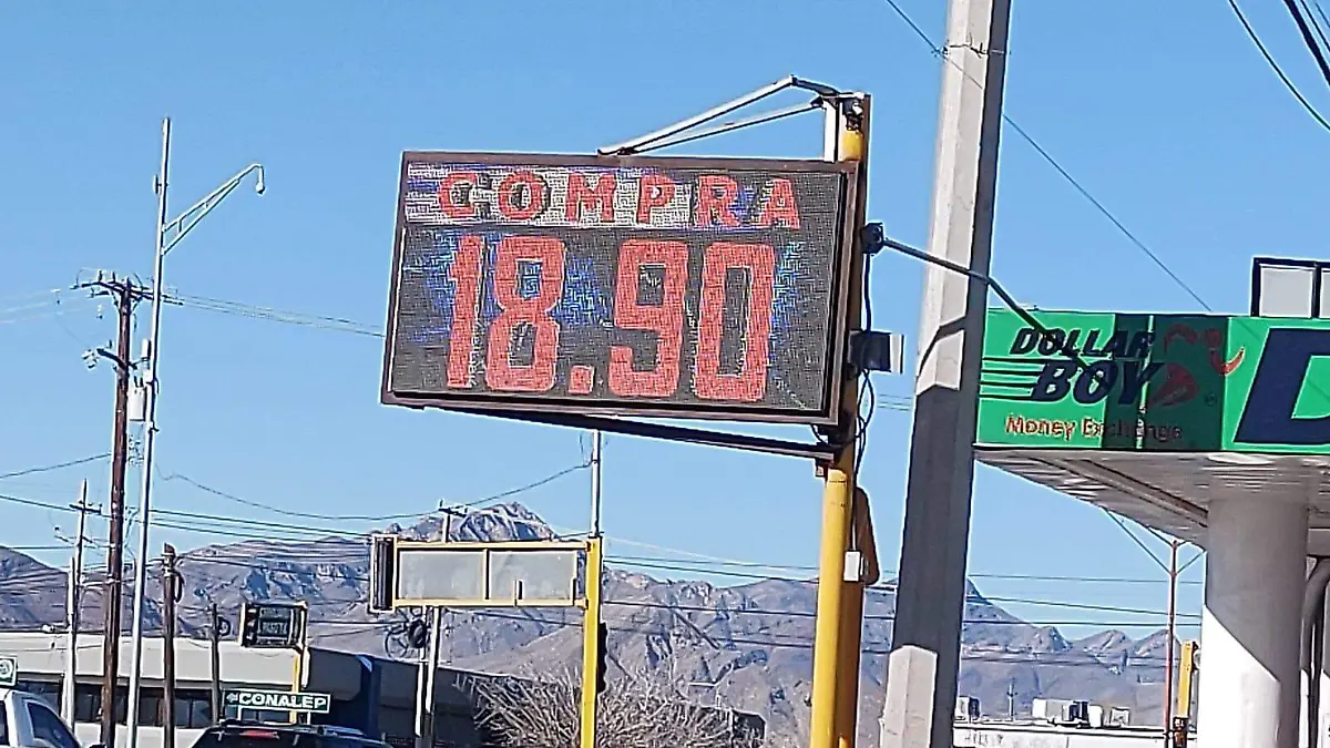 WhatsApp Image 2023-01-21 at 3.34.31 PM