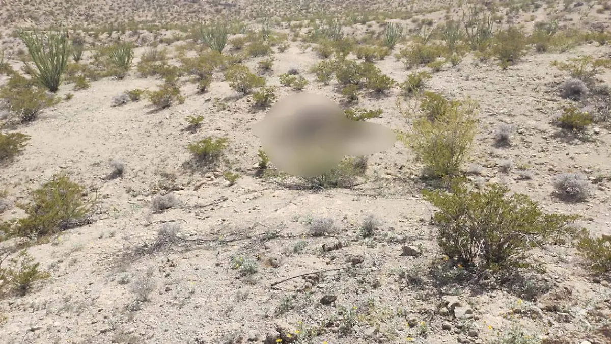 mujer asesinada