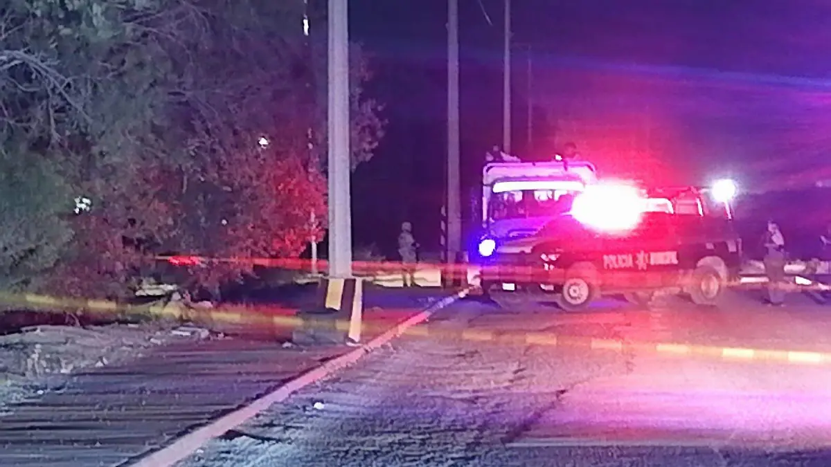 WhatsApp Image 2023-07-13 at 07.47.46