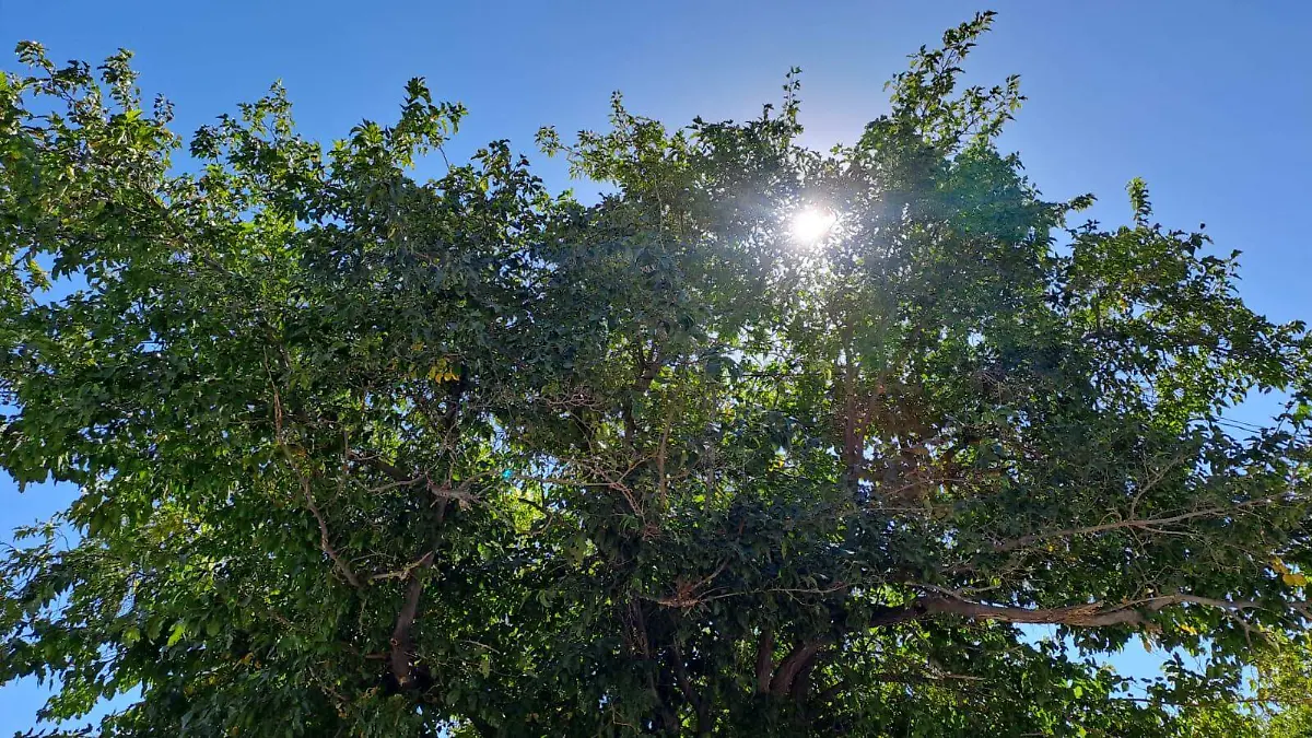 WhatsApp Image 2023-10-28 at 06.57.31