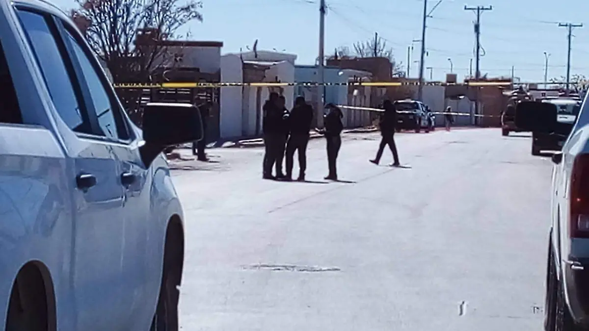 WhatsApp Image 2023-02-08 at 1.21.43 PM