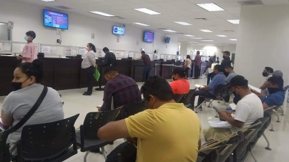 Recaudacion de rentas