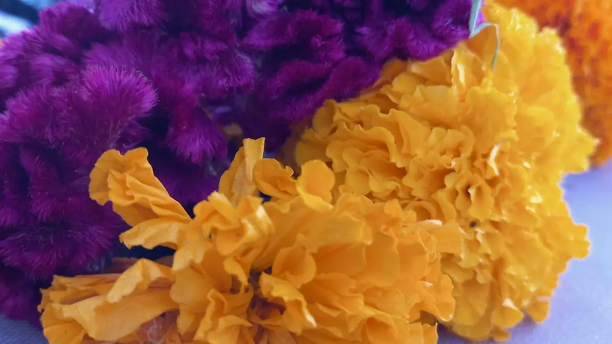 Ventas de día de muertos