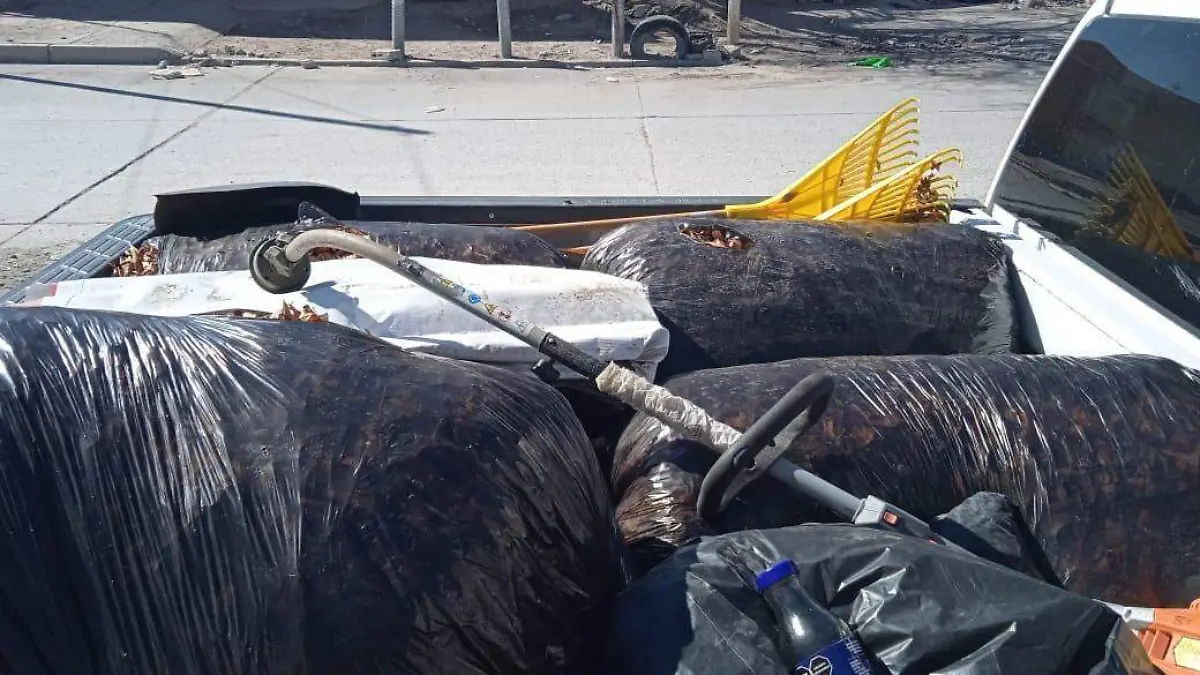 ead38e37-6b0e-4814-bd2a-f244a6d8e43f