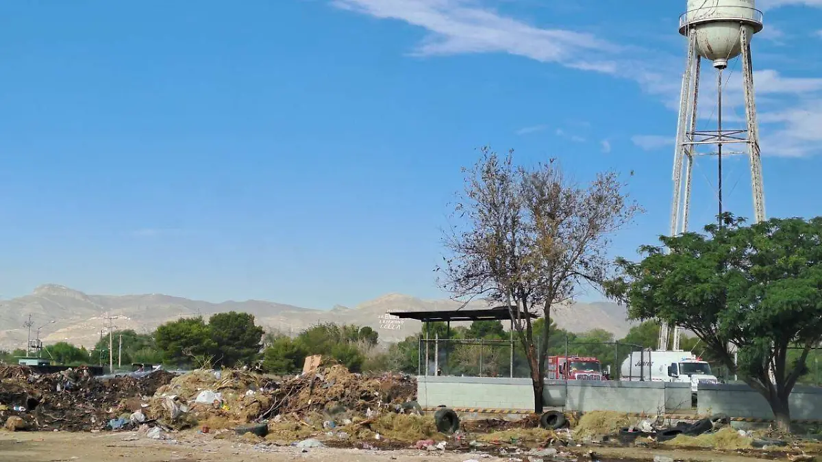 WhatsApp Image 2023-07-10 at 08.39.54