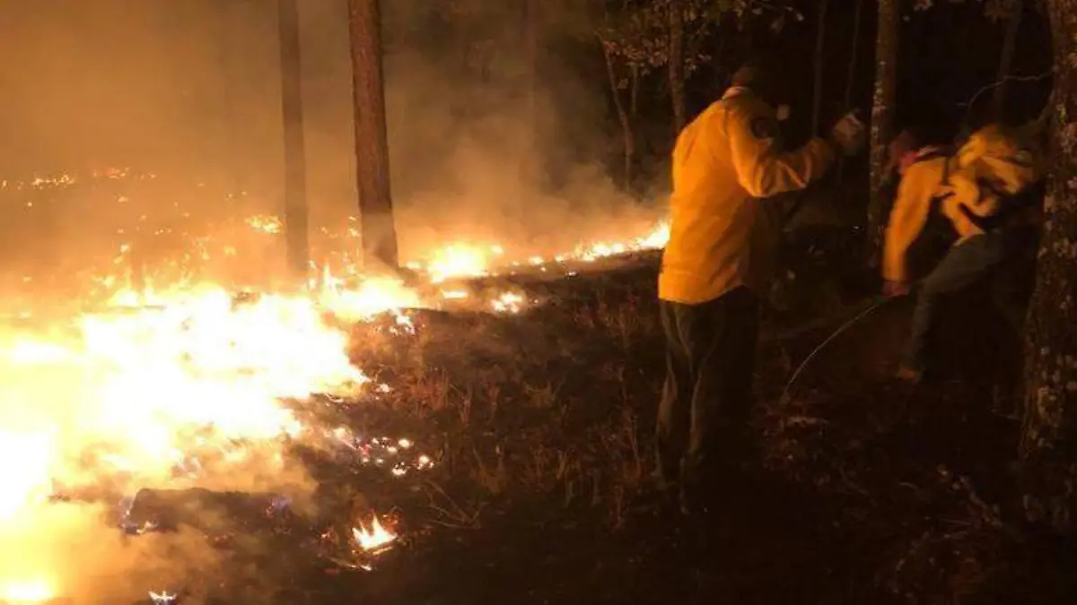 incendio forestal (1)