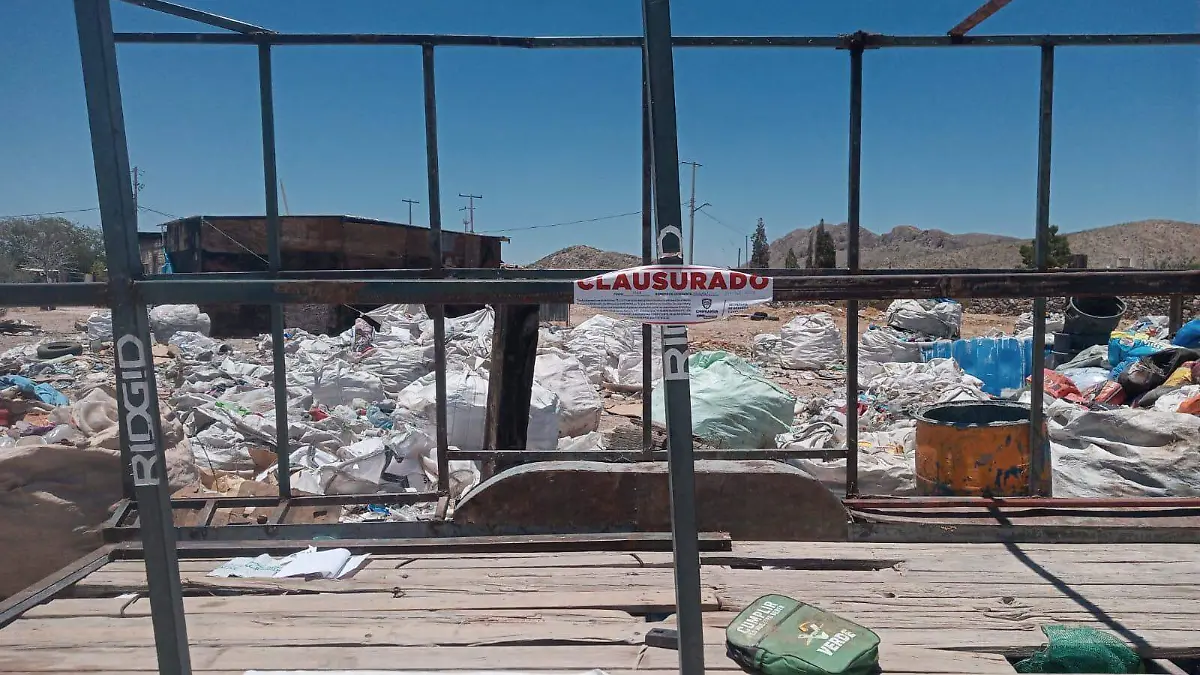 WhatsApp Image 2023-07-05 at 12.38.05