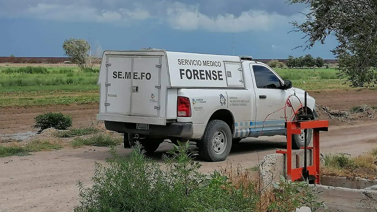 09ea16cc-cb91-4e49-802a-4ffc2fd75d92