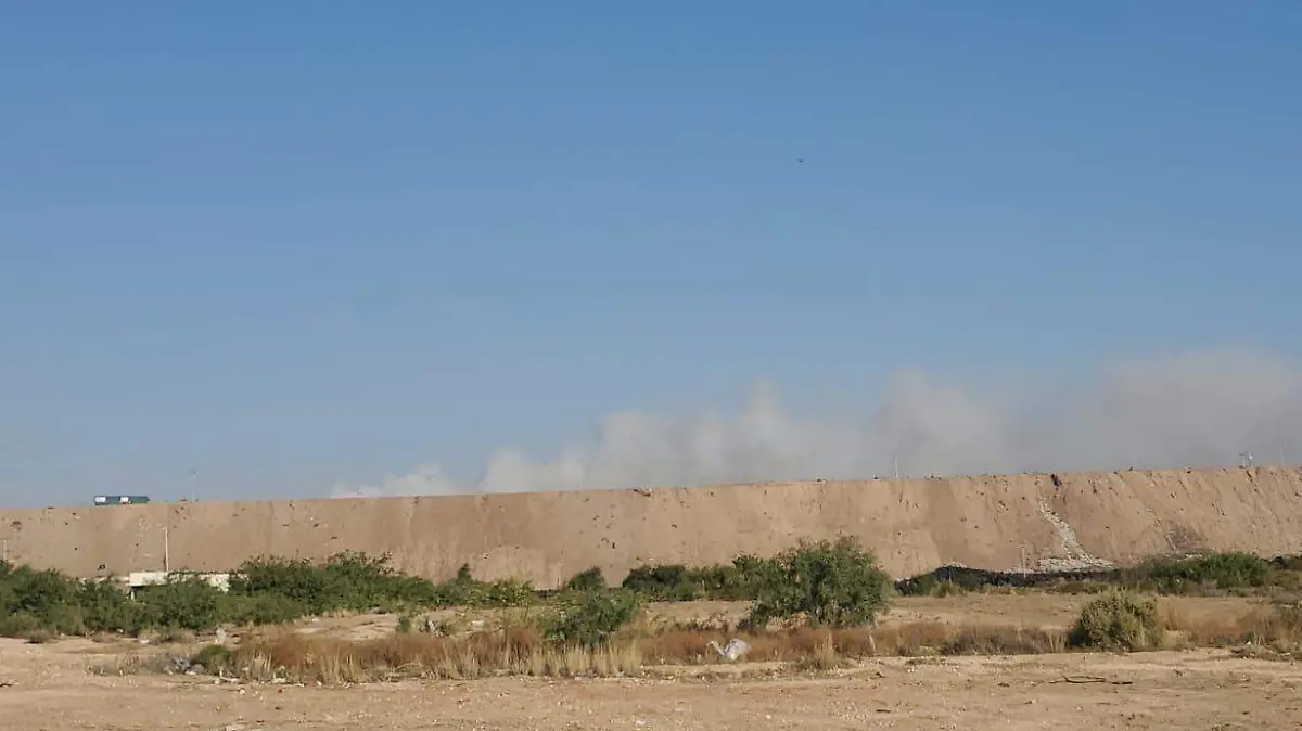 WhatsApp Image 2023-06-27 at 08.29.33