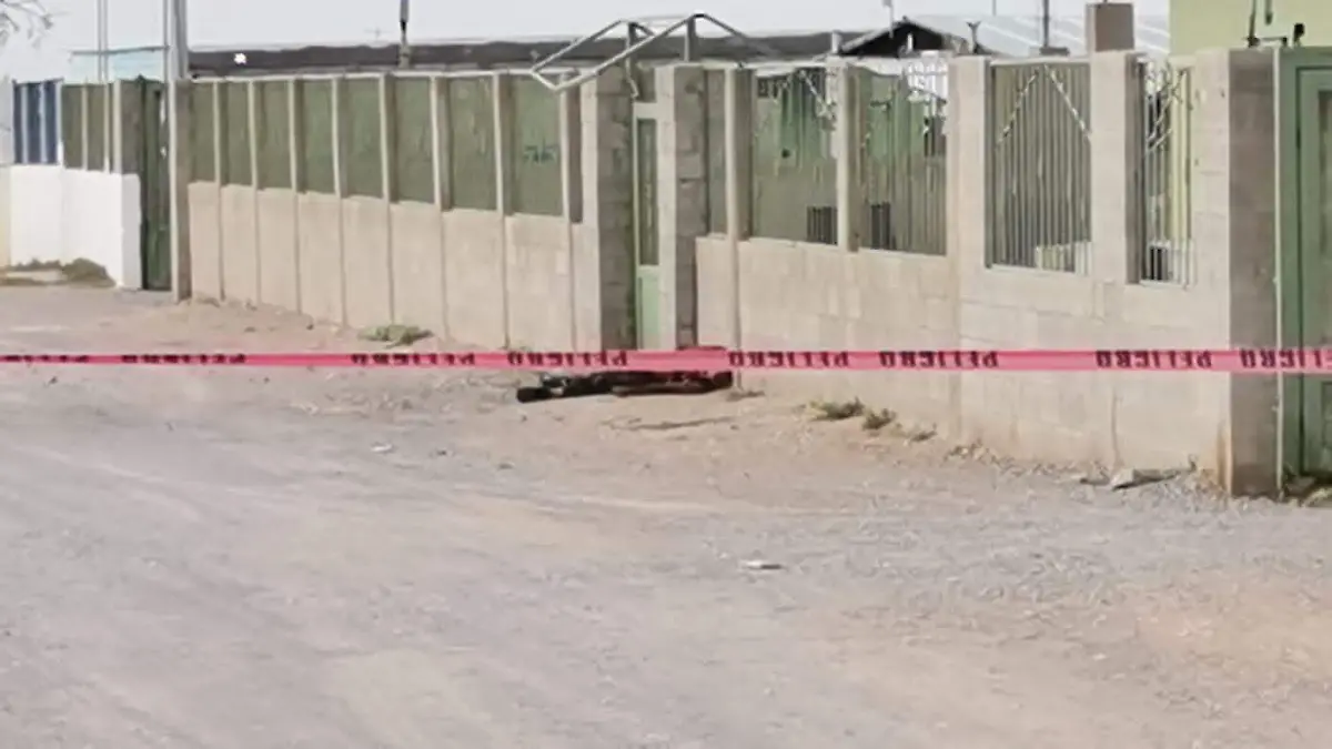 Localizan indigente sin vida 2