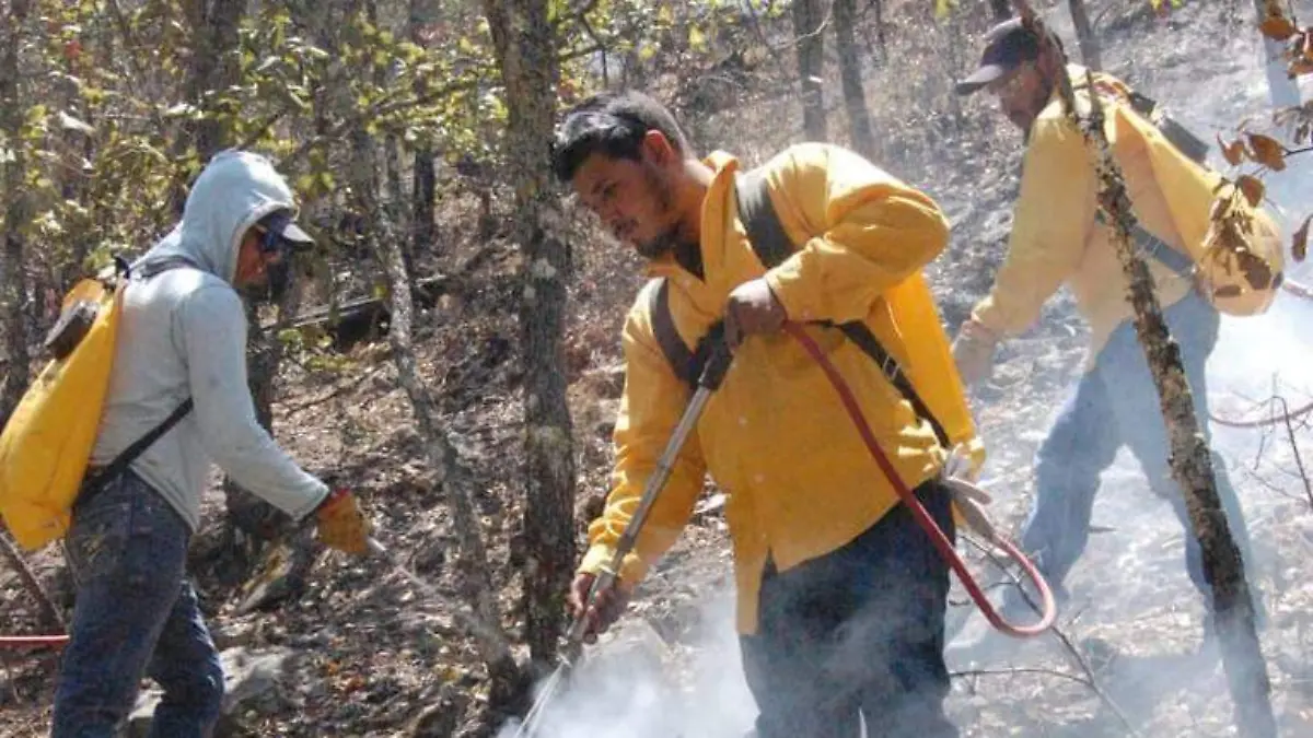 incendios