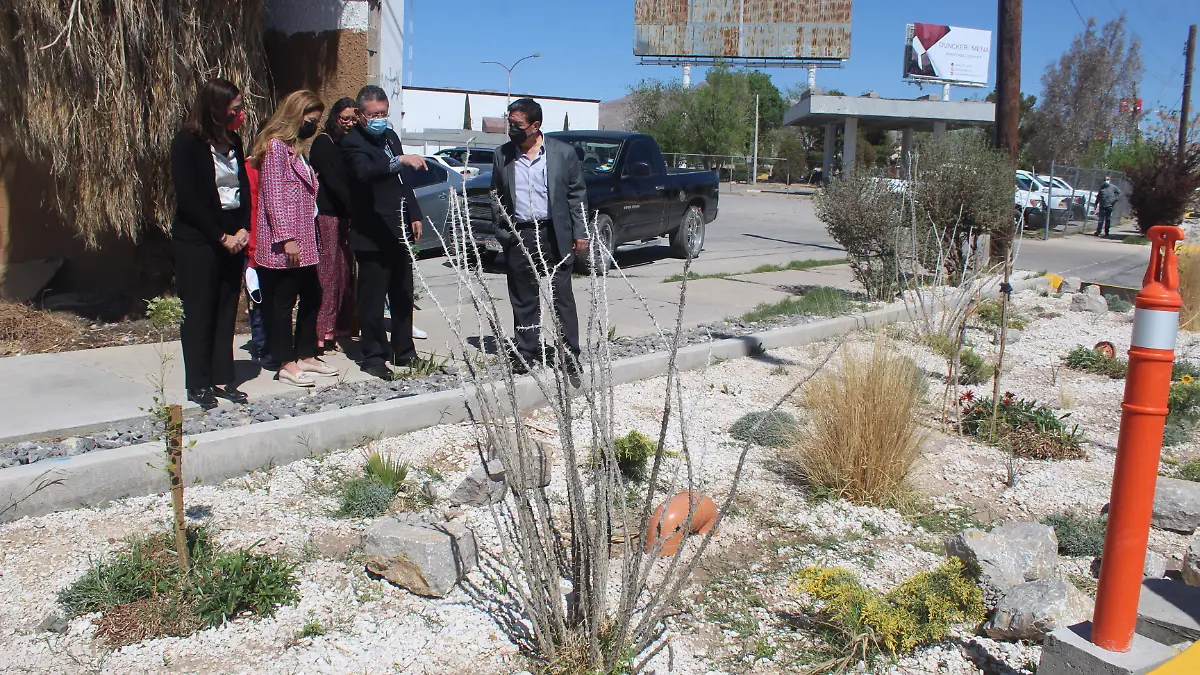 entregan jardineras de las americas. olga casas (14)