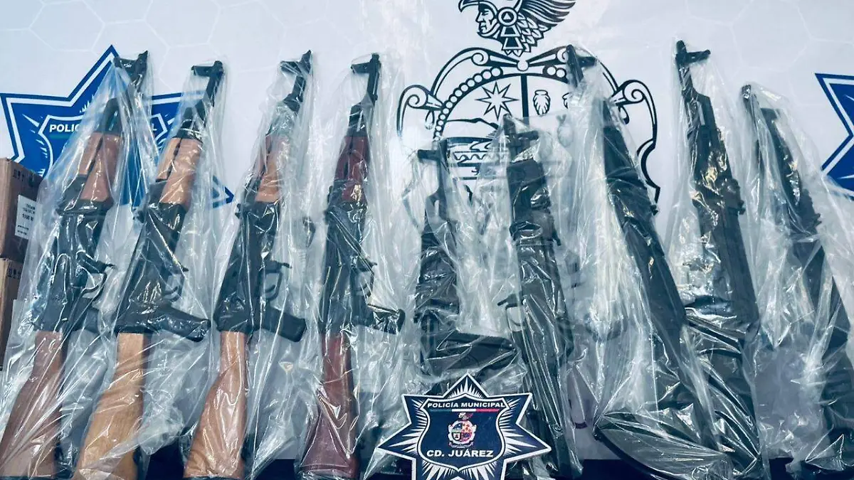 aseguramiento de armas 4