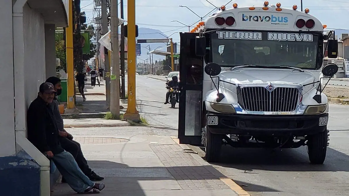 Bravo Bus Tierra Nueva