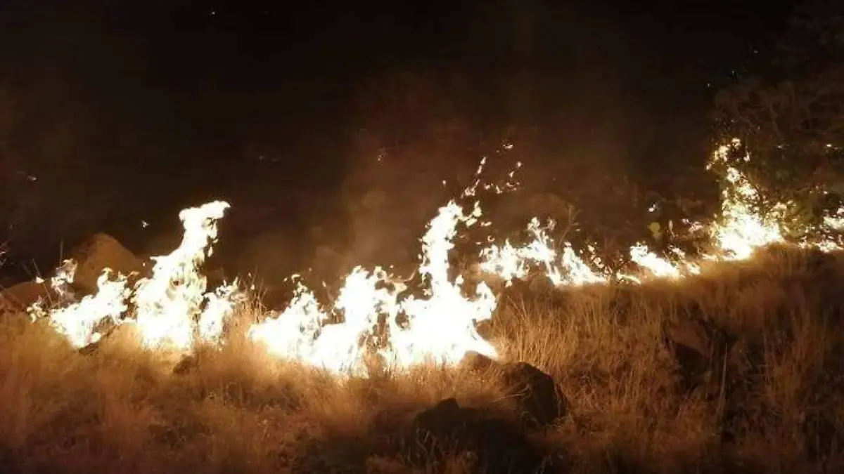 incendiocombatidos