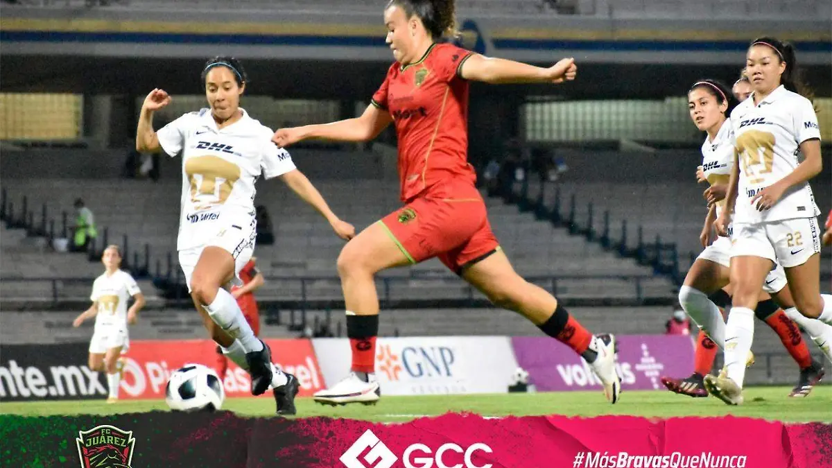 57336406-987f-4719-9225-d9d6bda39947