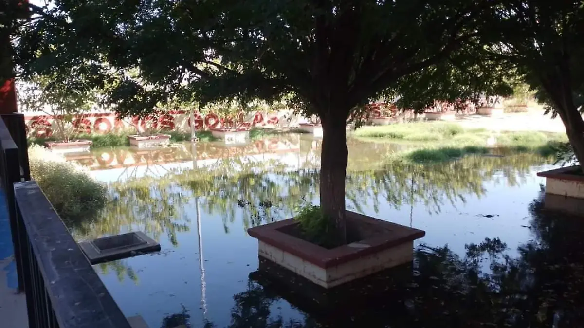 994151e3-111d-4877-ad30-e361f1bc53f2