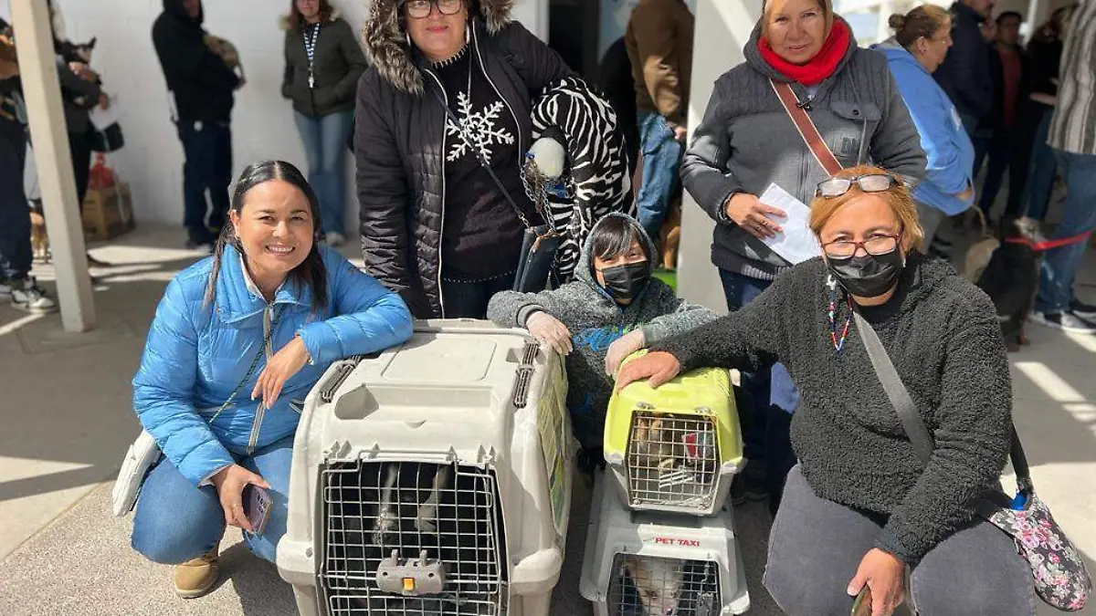 9be63e22-a760-43ab-950f-30be5dd683f7