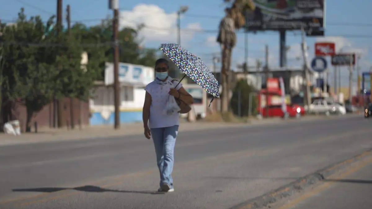 610317a8b44b3__610317a8b44b6