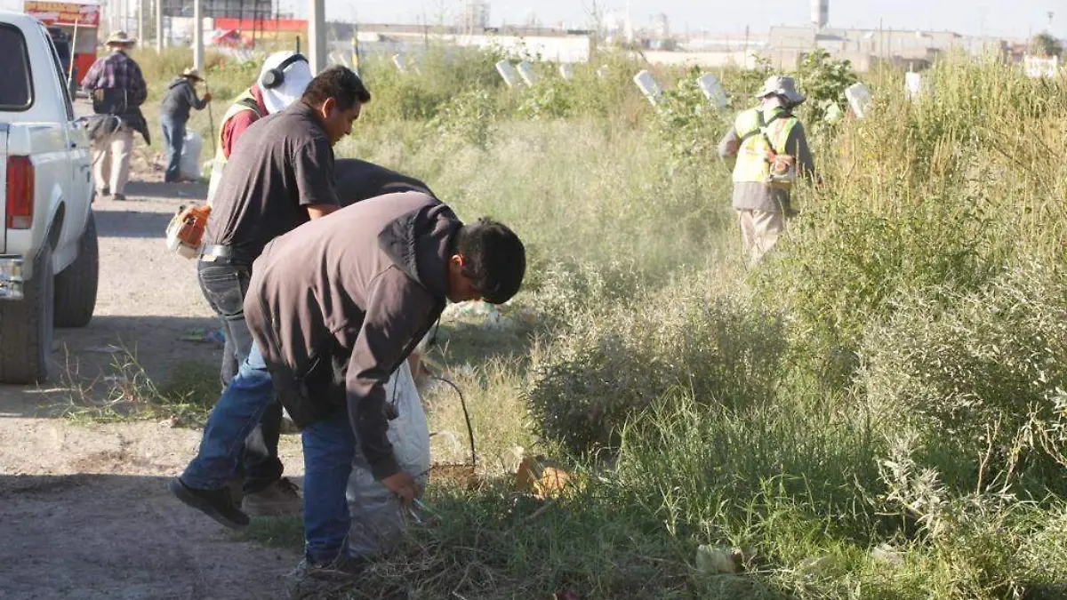 recolectando basura