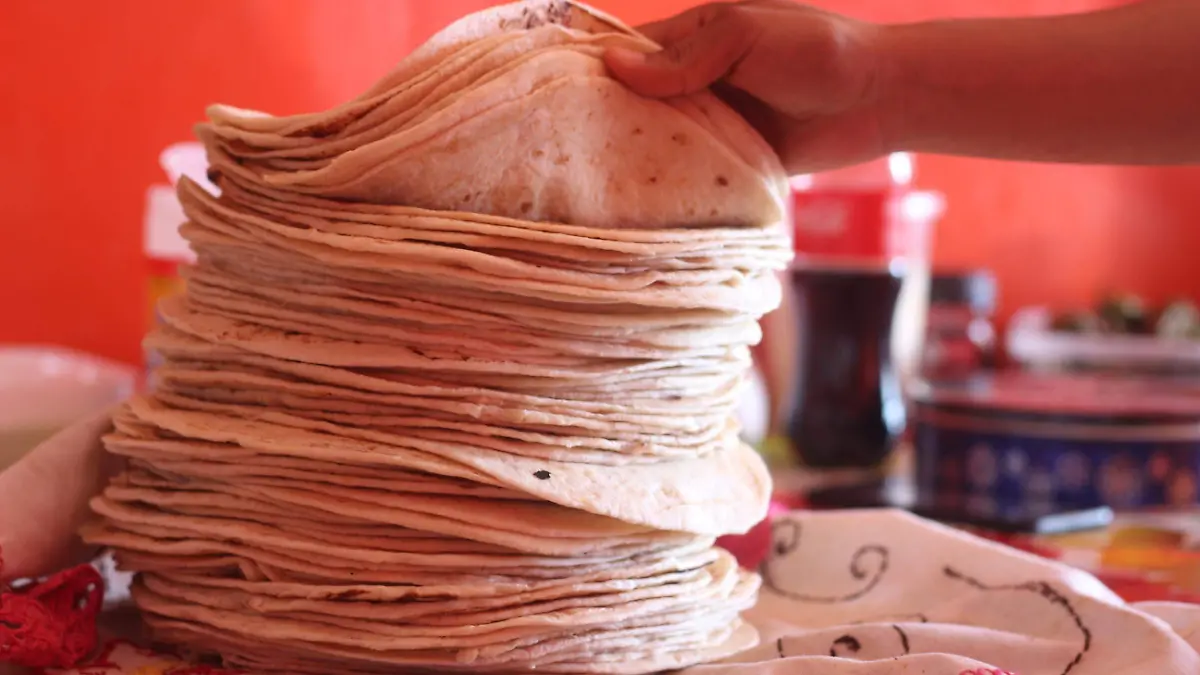Tortillas elaboradas a mano en burrería 
