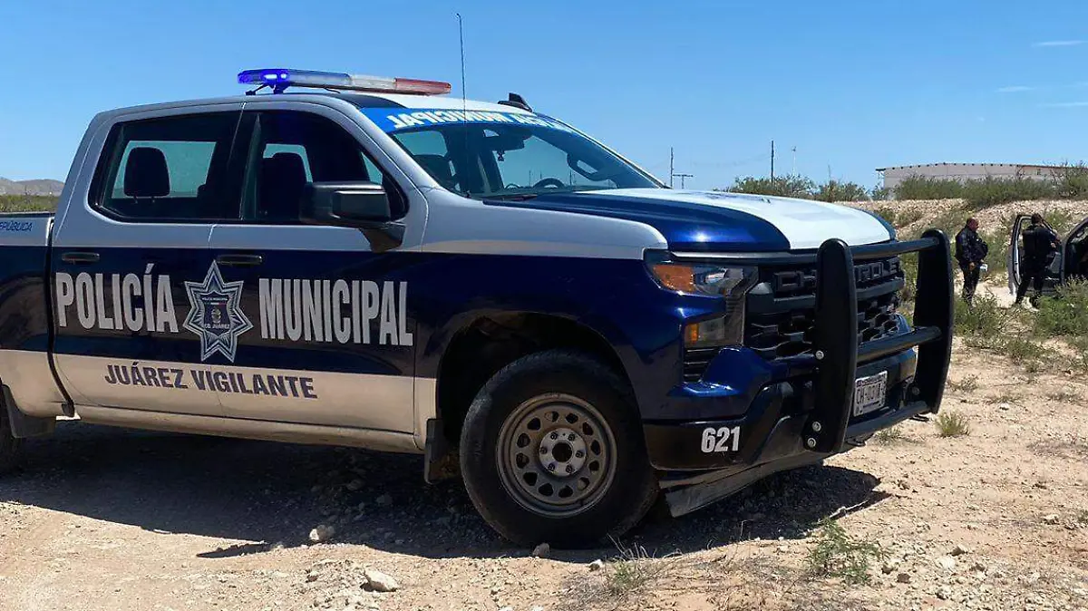 WhatsApp Image 2023-08-12 at 14.00.57