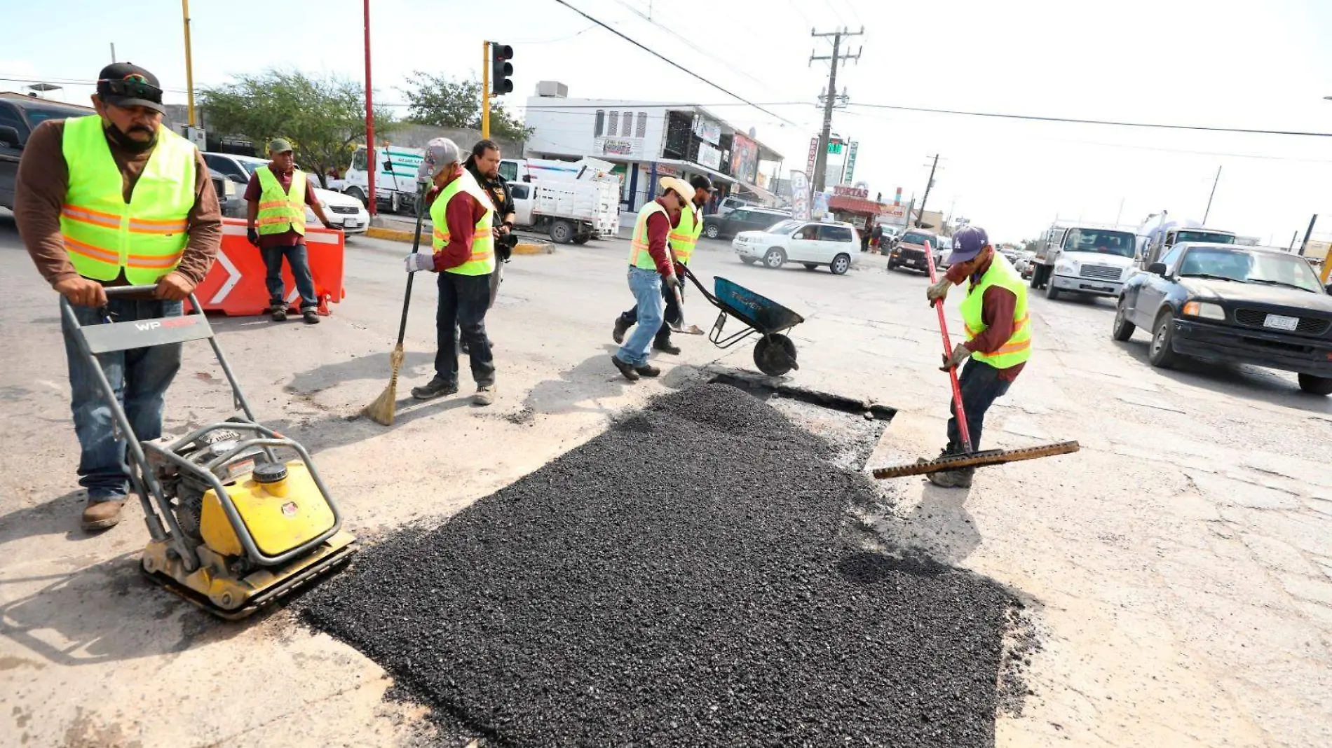 Baches