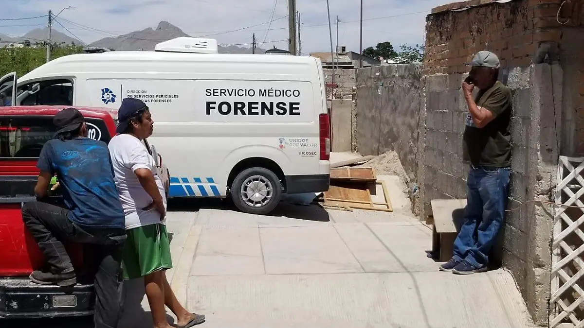 semefo