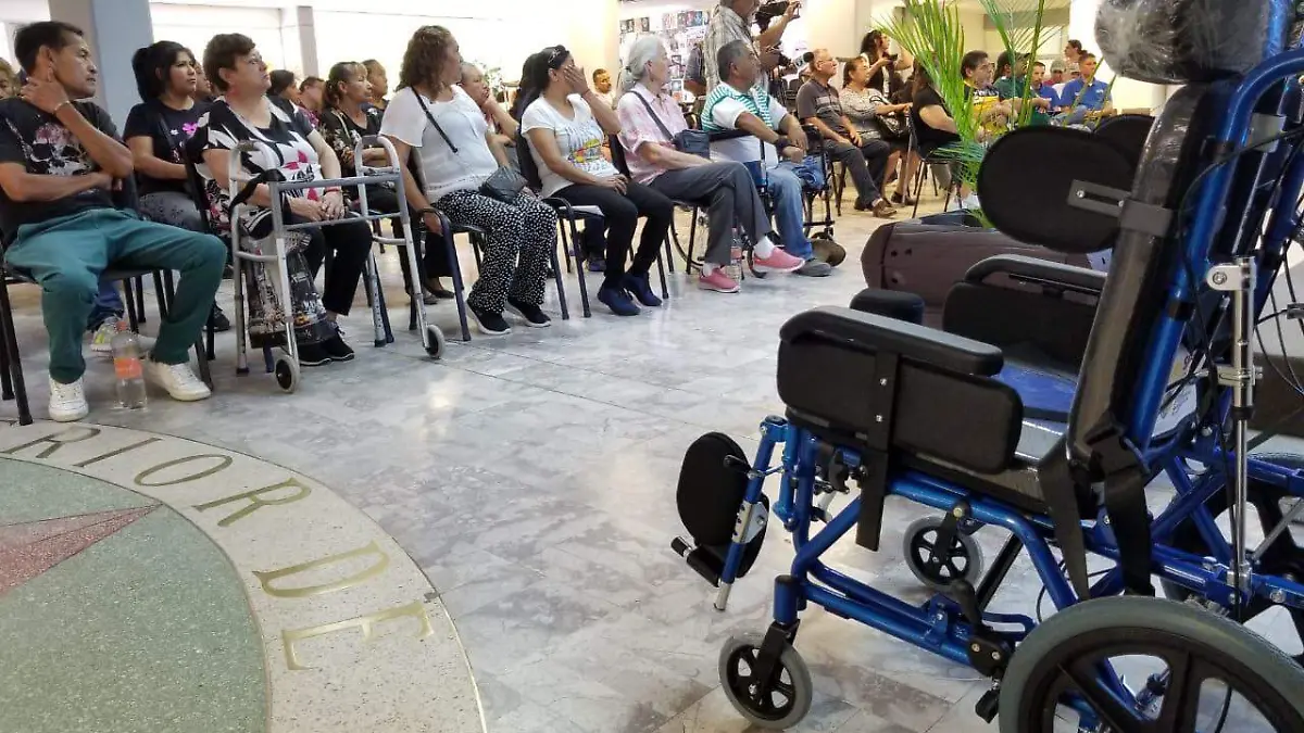aparatos auditivos 