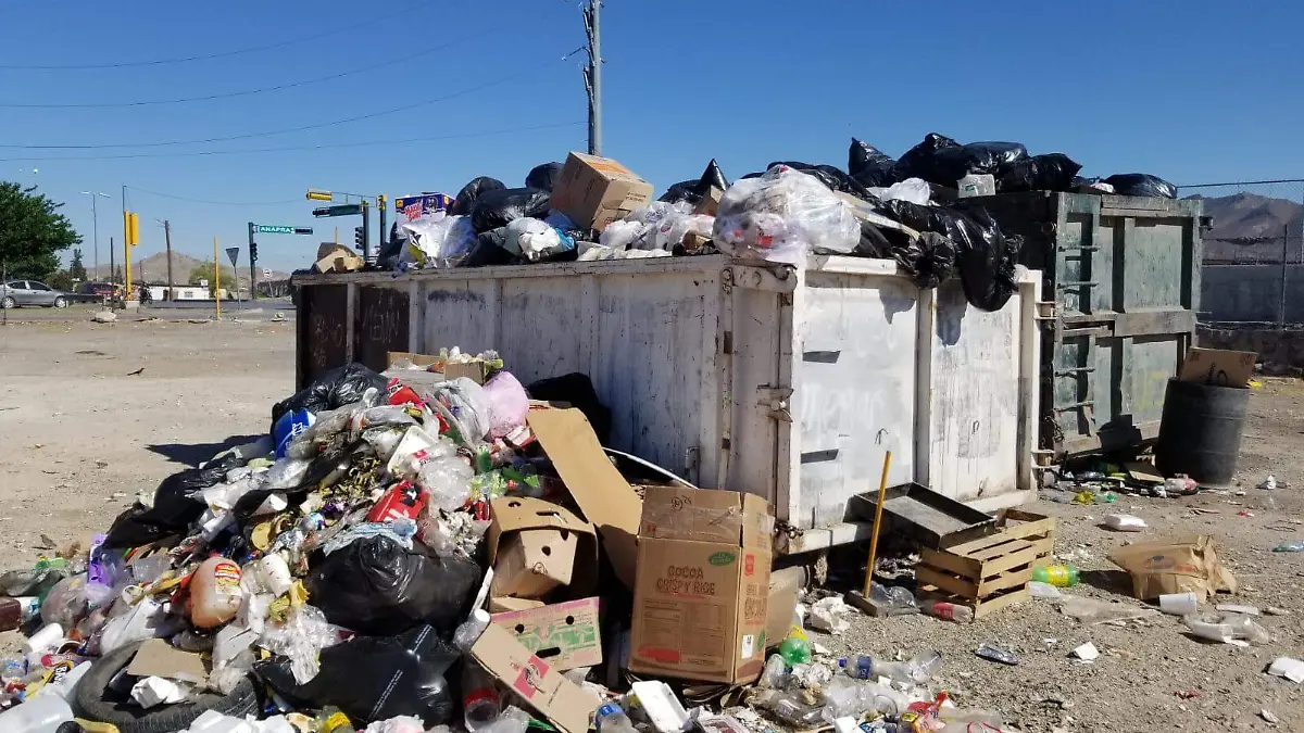 WhatsApp Image 2023-05-24 at 1.15.35 PM (1)