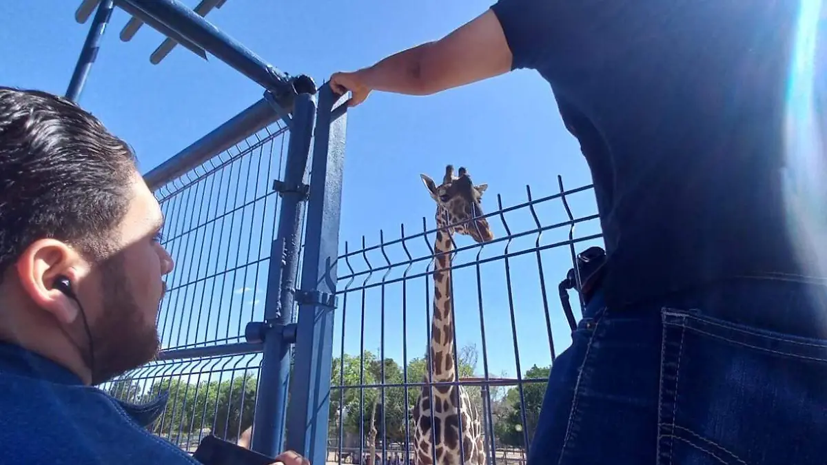 WhatsApp Image 2023-05-04 at 12.16.50